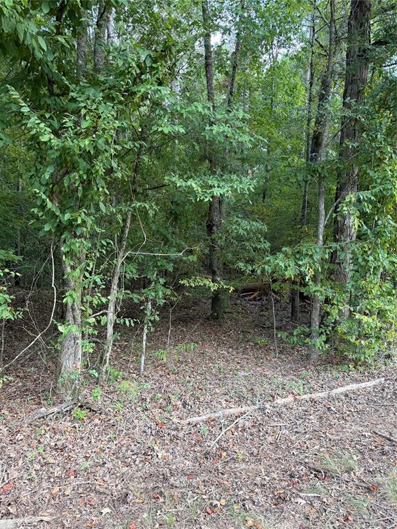 6 Airline Road Dubach, LA 71235 - Photo 4 of 5 Gallery Image 4