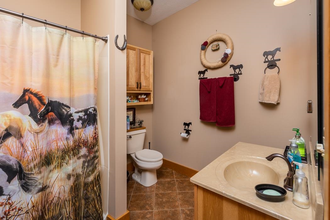 2564 Mt Torrey Road Lyndhurst, VA 22952 - Photo 25 of 64 a bathroom with a sink toilet and shower