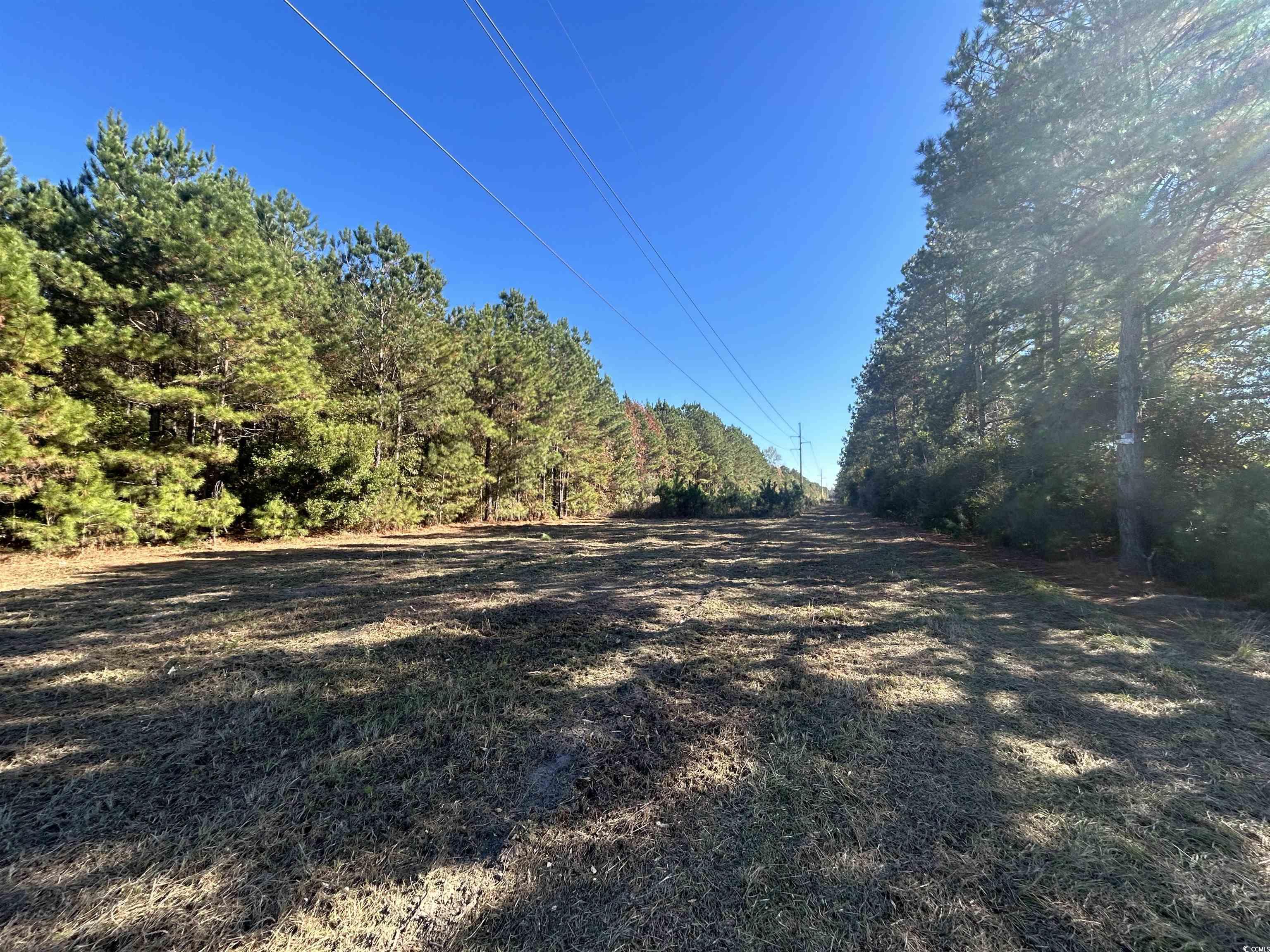 9 Longs Sc 29568 Longs, SC 29568 - Photo 11 of 19 View of street