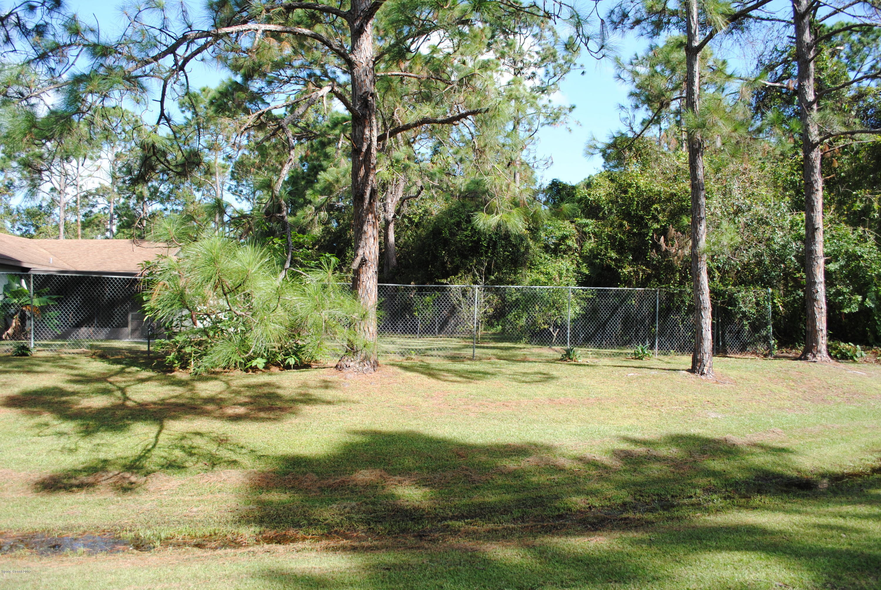 399 Warner Road Southwest Palm Bay, FL 32908 - Photo 39 of 40 a view of a yard with a tree