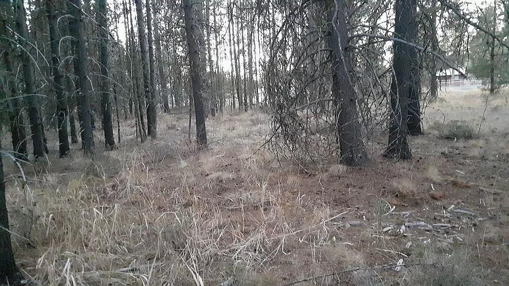 Fox Lane Bend, OR 97707 - Photo 3 of 12 4