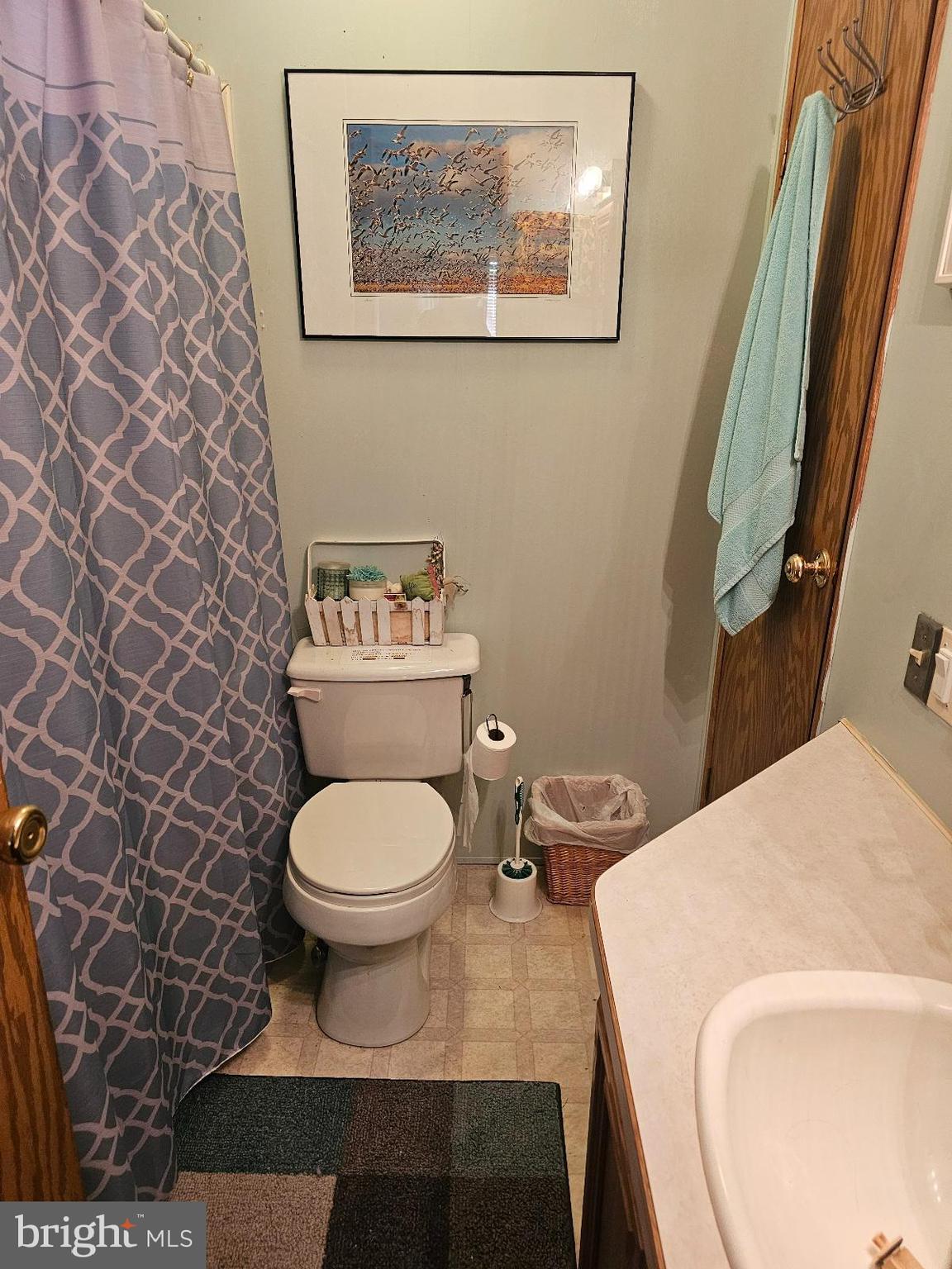 123-124 Palute Circle, Unit GLEN 8 Earleville, MD 21919 - Photo 6 of 40 a bathroom with a toilet and a sink
