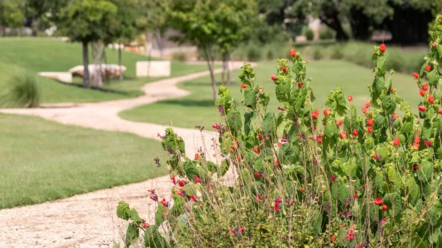 $863,900 | 1649 Hosanna Grande Way, Leander, TX 78641