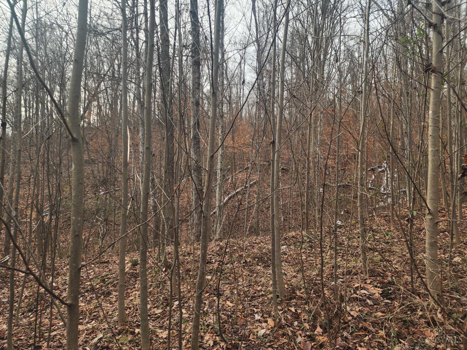 4655 Grassy Fork Road Peebles, OH 45660 - Photo 8 of 30