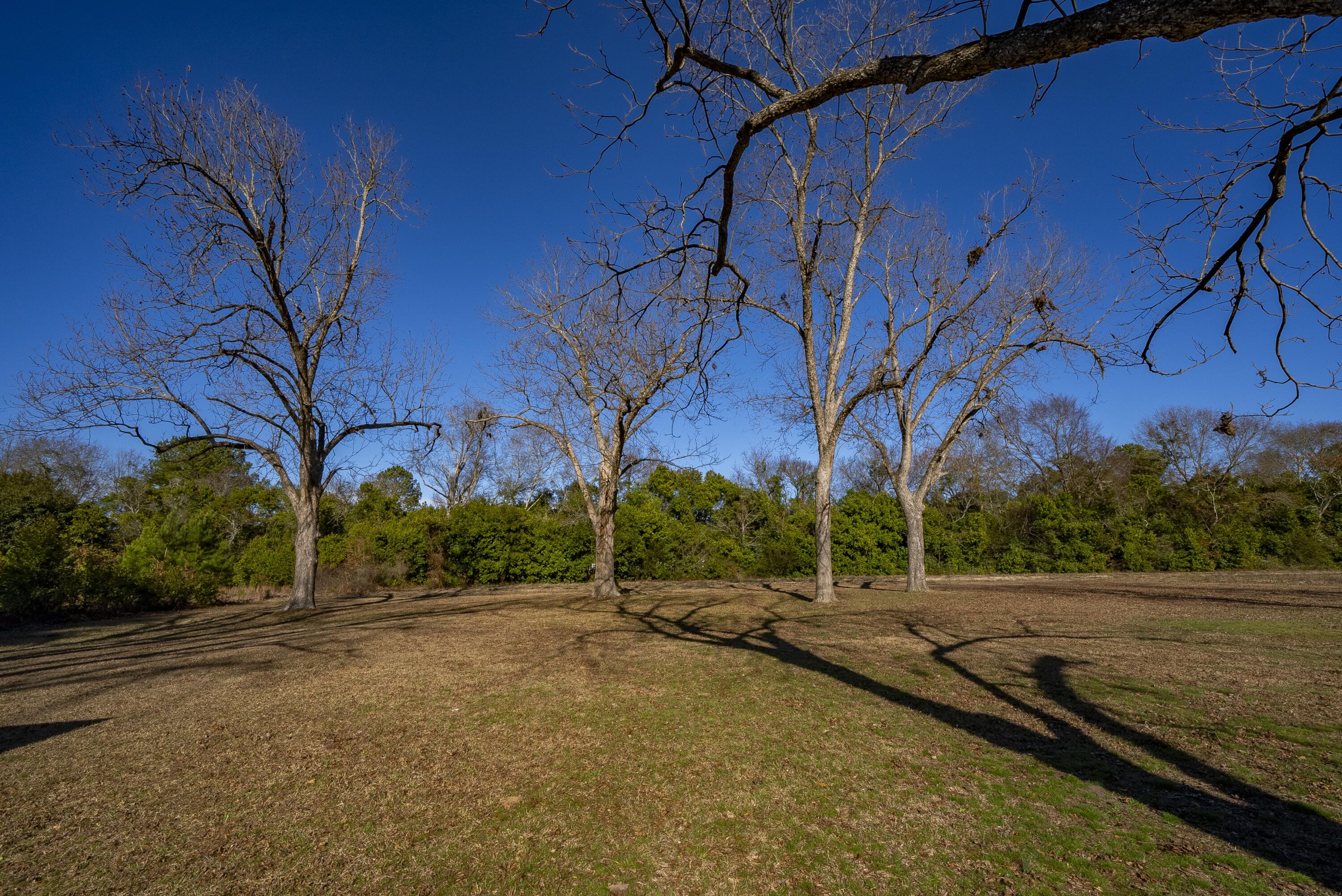 224 Walnut Street North, SC 29112 - Photo 16 of 41 DSC03366