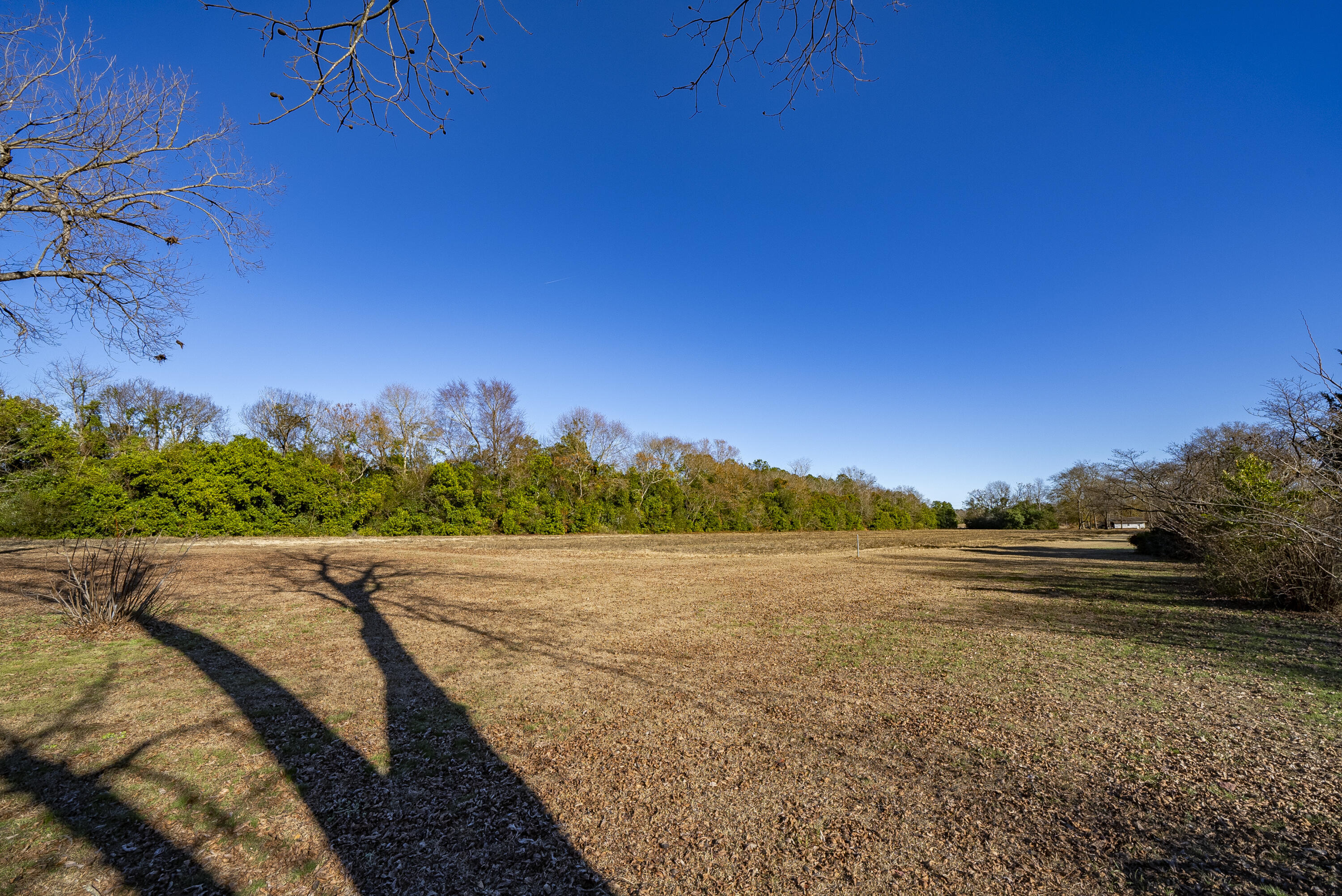 224 Walnut Street North, SC 29112 - Photo 17 of 41 DSC03373