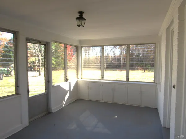 a view of a forest filled with trees