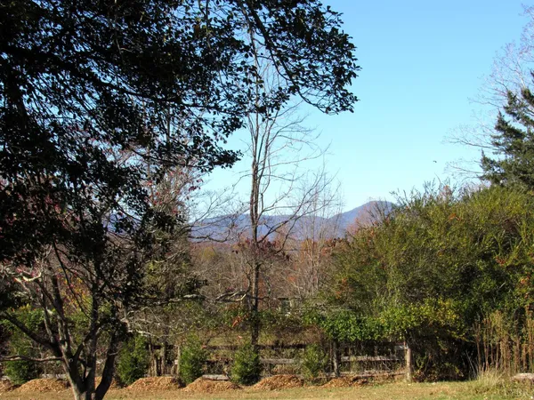 an empty room with wooden floor and closet