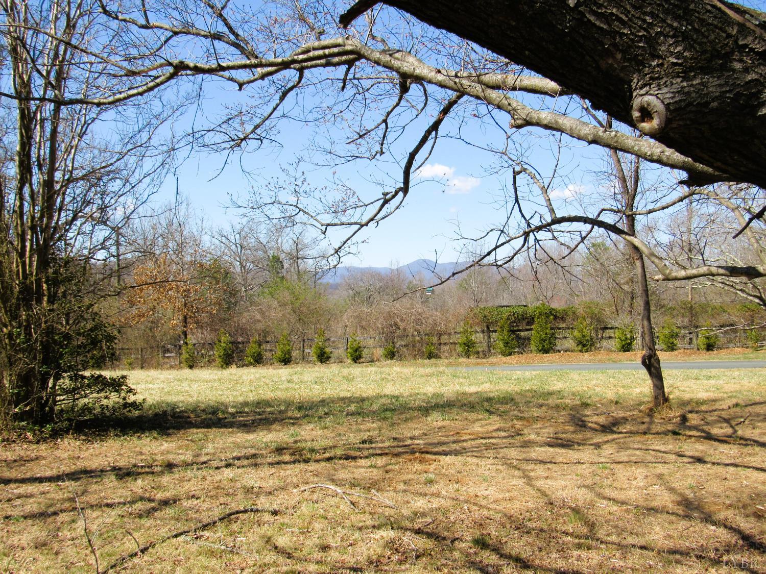328 Huff Creek Trail Amherst, VA 24521 - Photo 39 of 41 a view of a yard with a house