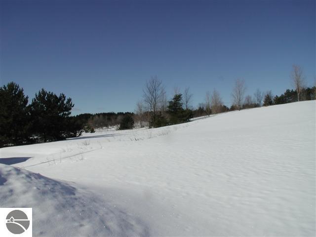 2100 State Road Honor, MI 49640 - Photo 5 of 7 1644407-4.JPG