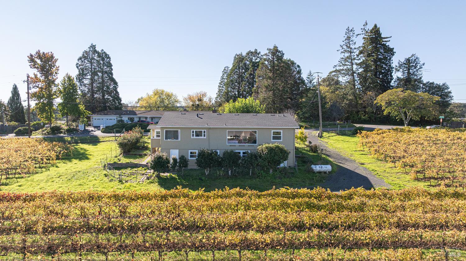 1365 Grandview Road Sebastopol, CA 95472 - Photo 55 of 74