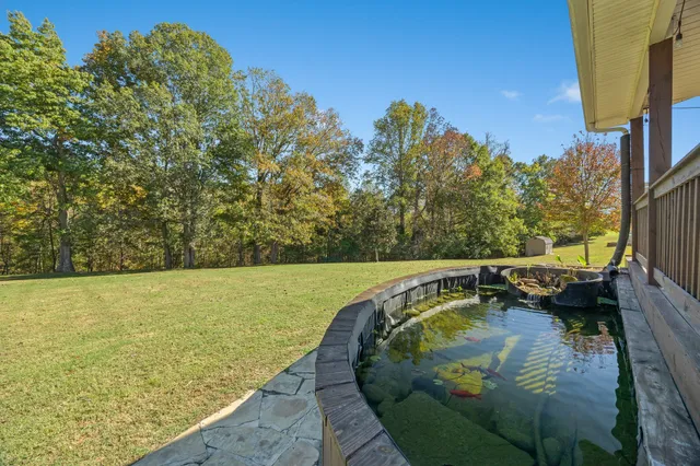 a view of a swimming pool with a yard