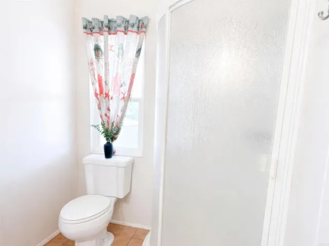 a white toilet sitting next to a shower curtain