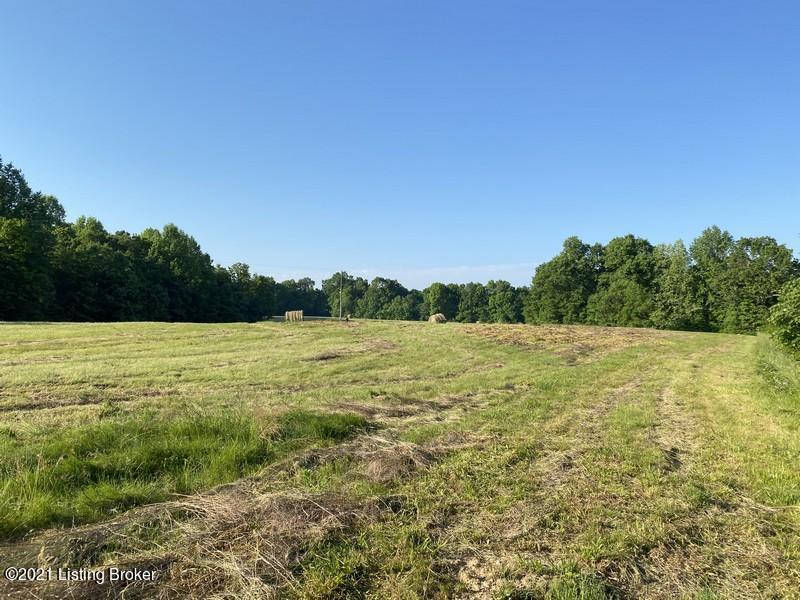 201 B Fox Run Road Caneyville, KY 42721 - Photo 3 of 14 201 Fox Run Tract B 1
