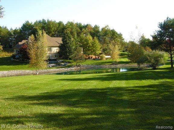 5900 River Ridge Lane Almont, MI 48003 - Photo 6 of 9 side yard