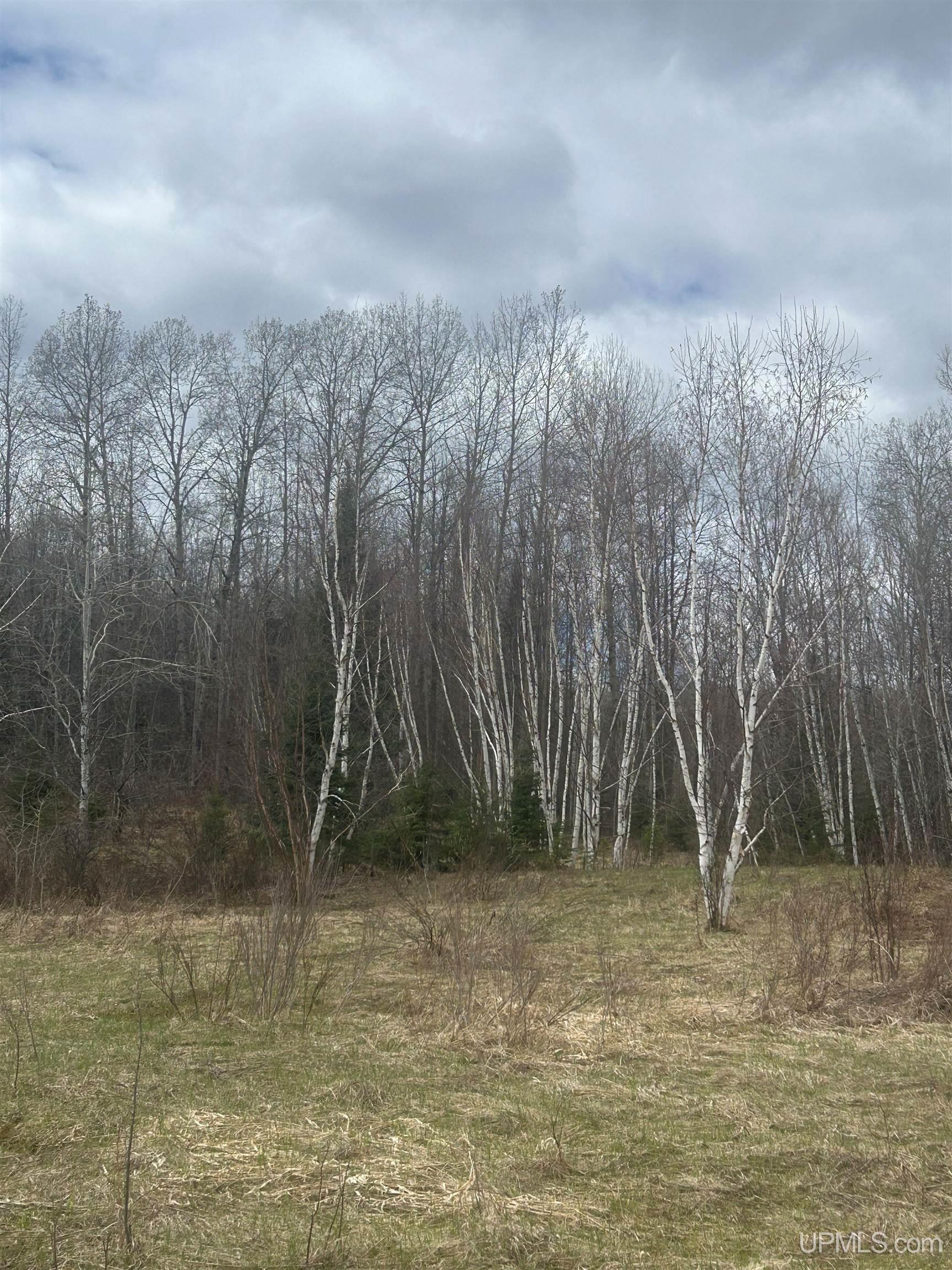 Tbd 10-1 Mill Pond Road Trout Creek, MI 49967 - Photo 10 of 23