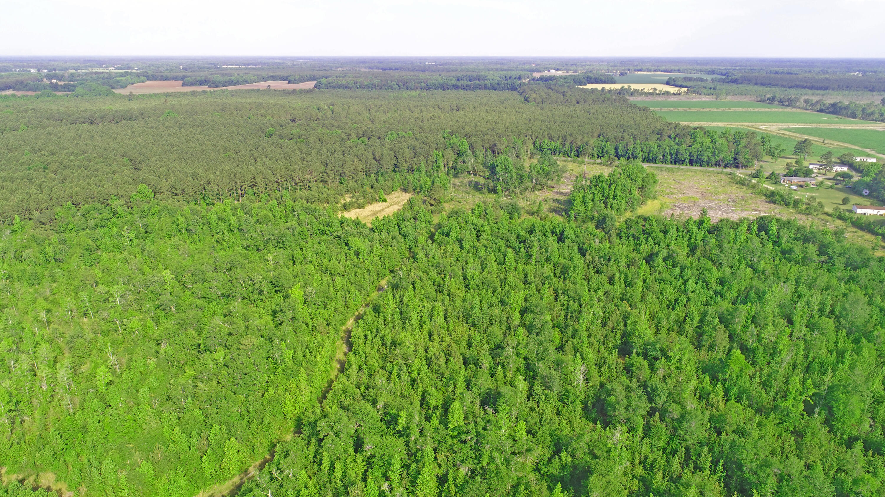 6843 Silver Road Manning, SC 29102 - Photo 2 of 38 Aerial 8