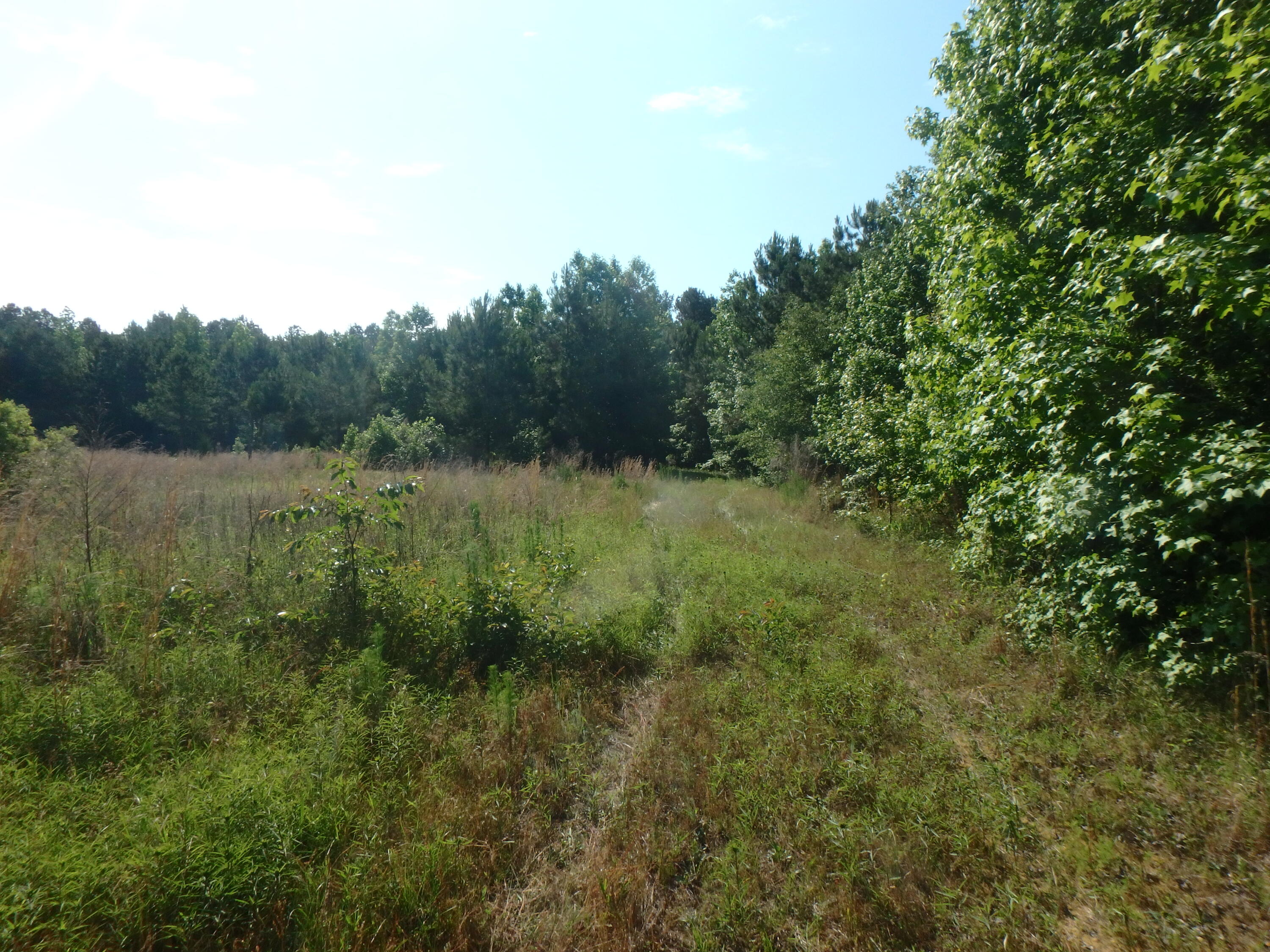 6843 Silver Road Manning, SC 29102 - Photo 24 of 38 P5220044