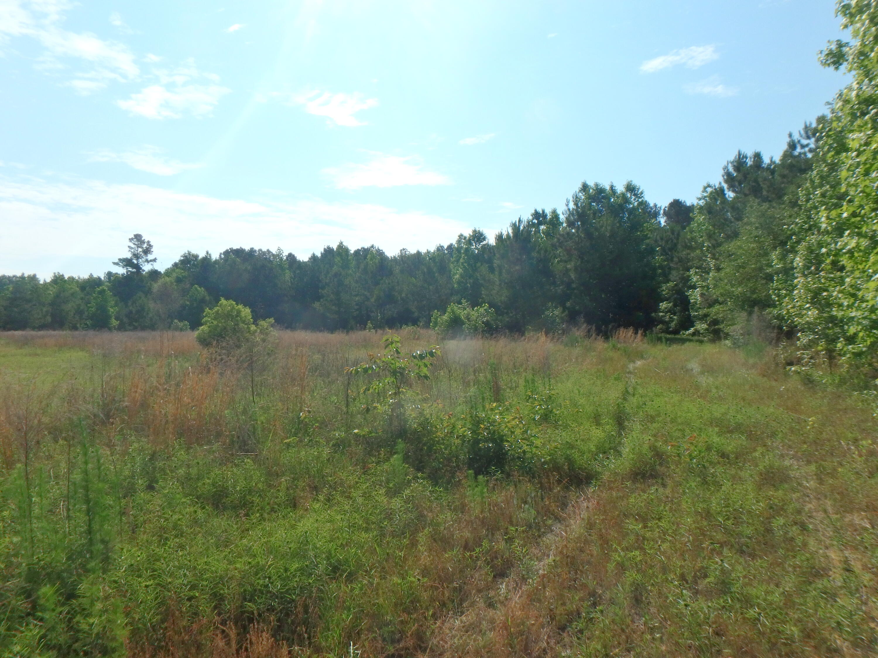 6843 Silver Road Manning, SC 29102 - Photo 25 of 38 P5220045