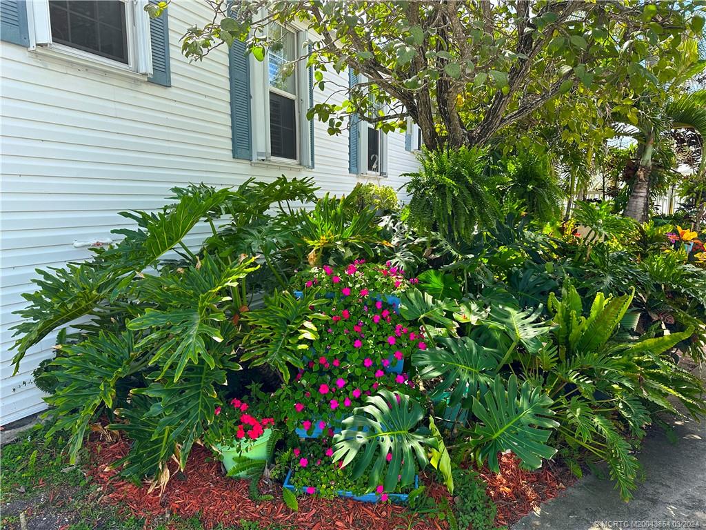 a flower plants in front of a house