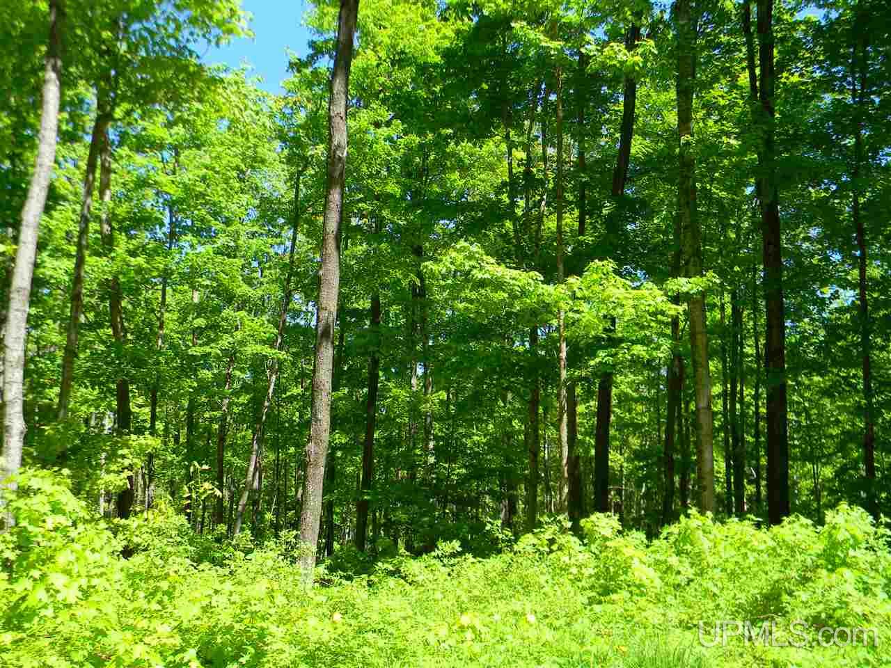 Tbd Rauhala Road, Unit LOT 6 COLES CREEK SUBDIV Atlantic Mine, MI 49931 - Photo 5 of 9