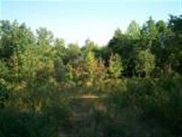 2500 Hunts Bridge Road, Unit TRACT 2 Fountain Inn, SC 29644 - Photo 3 of 3