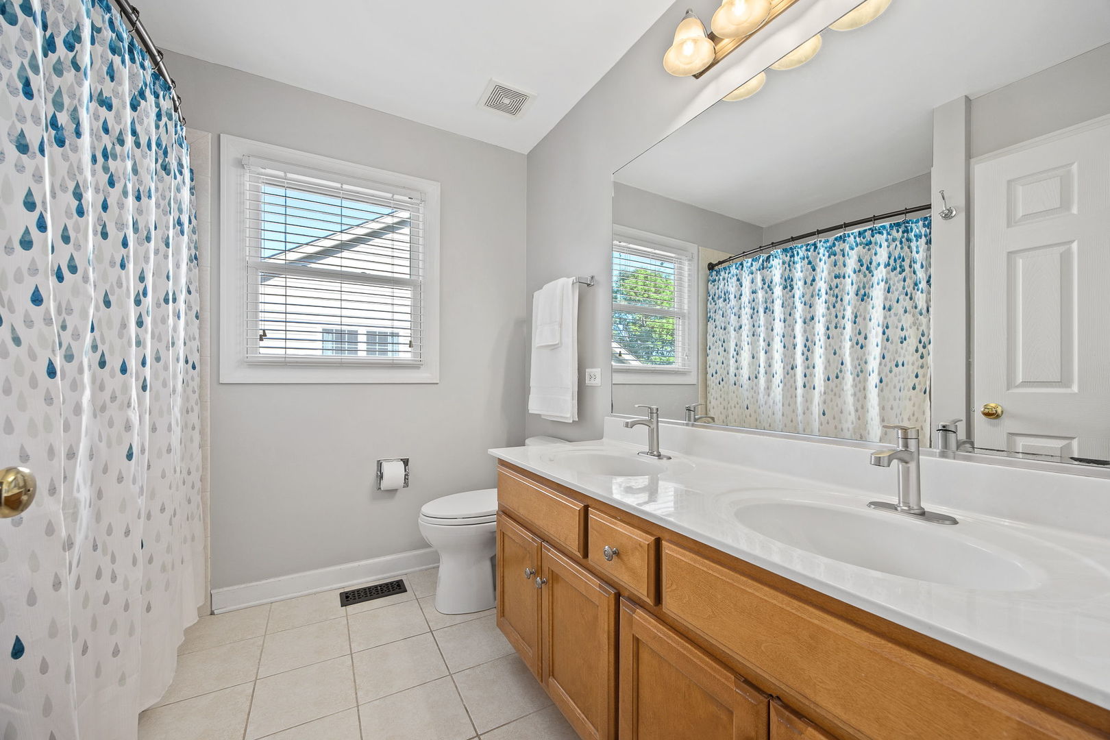 2816 Cordgrass Road Naperville, IL 60564 - Photo 28 of 49 a bathroom with a double vanity sink a toilet and a shower
