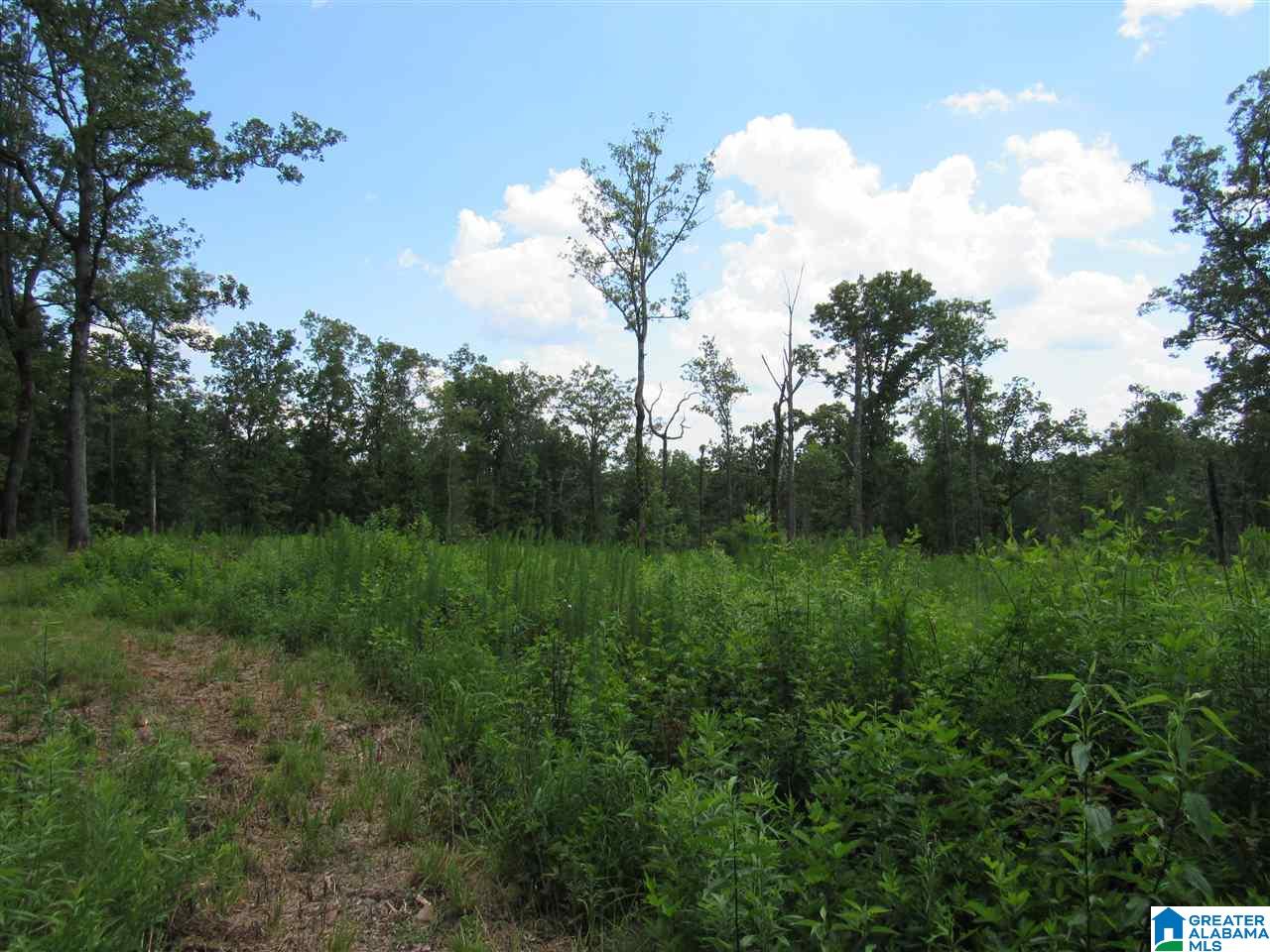1 County Road 2811 Lineville, AL 36266 - Photo 2 of 8