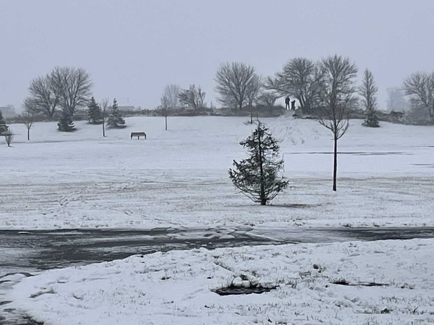 2073 Rownham Hill Road New Lenox, IL 60451 - Photo 34 of 34 a view of a dry yard with trees