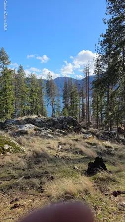 $240,000 | Nna North Terrace Drive, Bayview, ID 83803