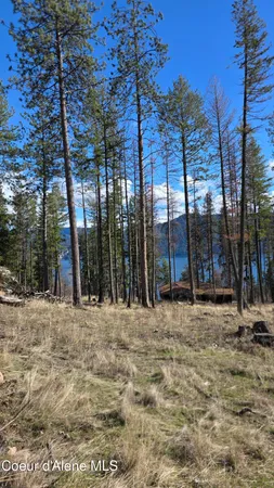 $240,000 | Nna North Terrace Drive, Bayview, ID 83803
