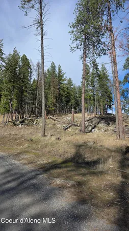 $240,000 | Nna North Terrace Drive, Bayview, ID 83803
