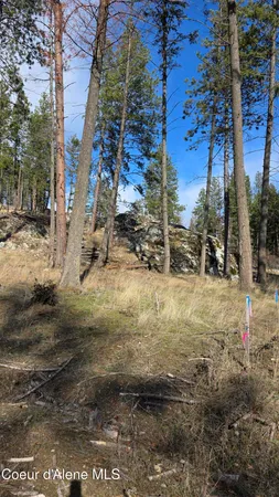 $240,000 | Nna North Terrace Drive, Bayview, ID 83803
