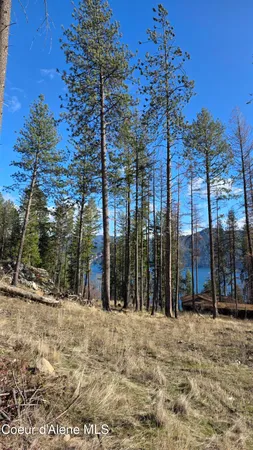 $240,000 | Nna North Terrace Drive, Bayview, ID 83803