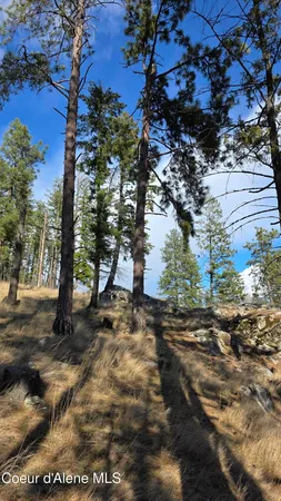 $240,000 | Nna North Terrace Drive, Bayview, ID 83803