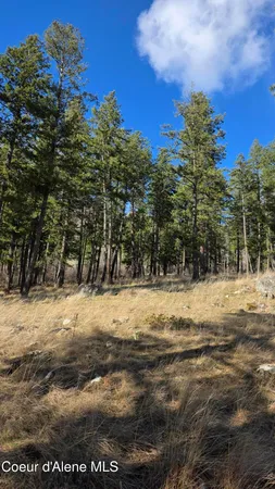 $240,000 | Nna North Terrace Drive, Bayview, ID 83803