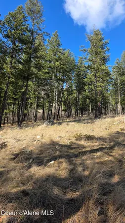 $240,000 | Nna North Terrace Drive, Bayview, ID 83803
