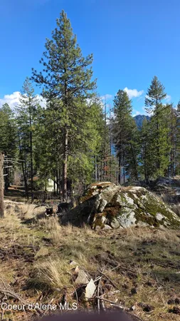 $240,000 | Nna North Terrace Drive, Bayview, ID 83803