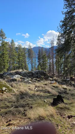 $240,000 | Nna North Terrace Drive, Bayview, ID 83803