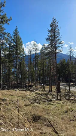 $240,000 | Nna North Terrace Drive, Bayview, ID 83803