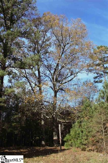 578 Bennetts Bridge Road Greer, SC 29651 - Photo 8 of 11 Gallery Image 8