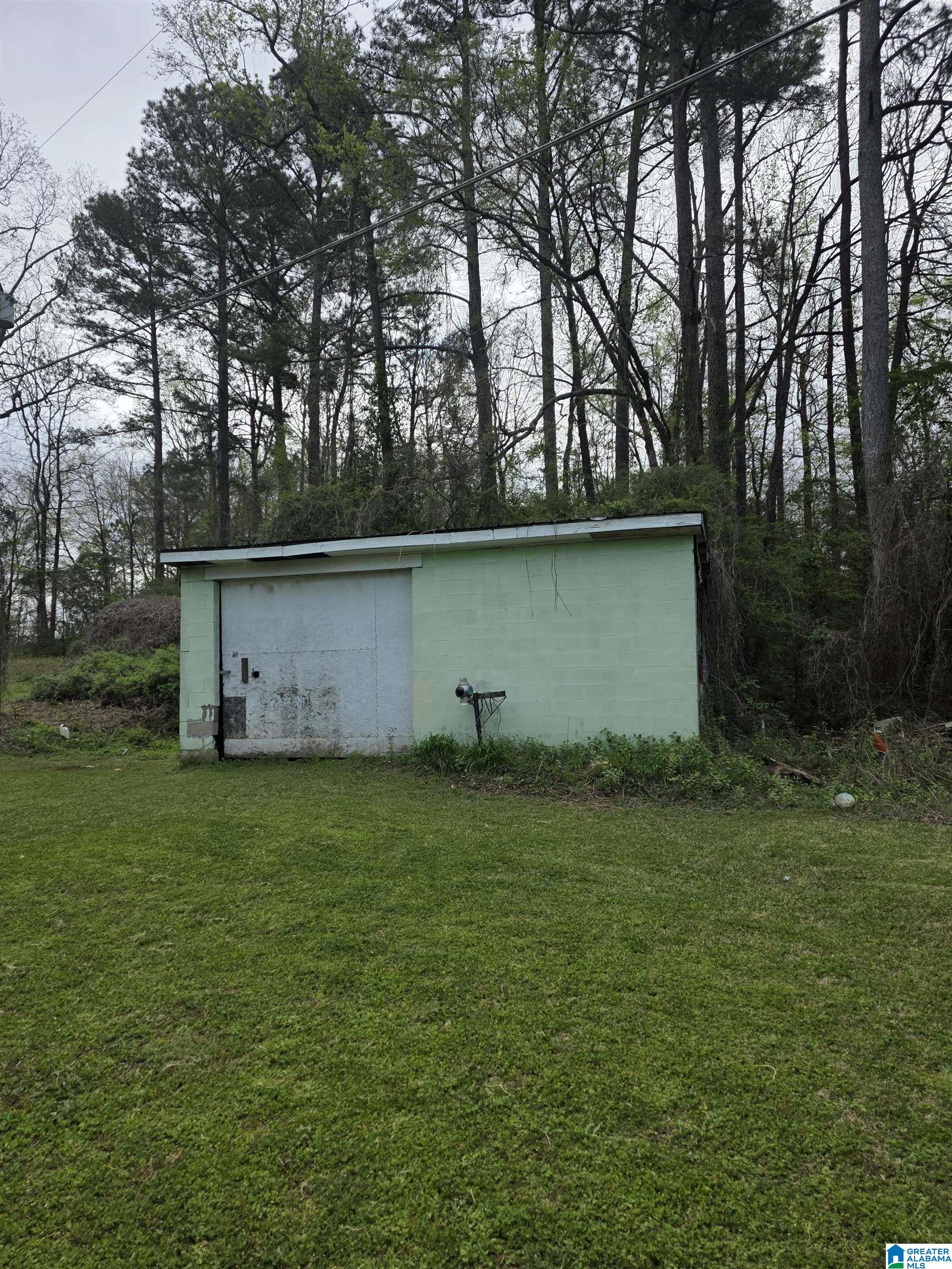 66 Eagle Bald Road Jacksonville, AL 36265 - Photo 10 of 11