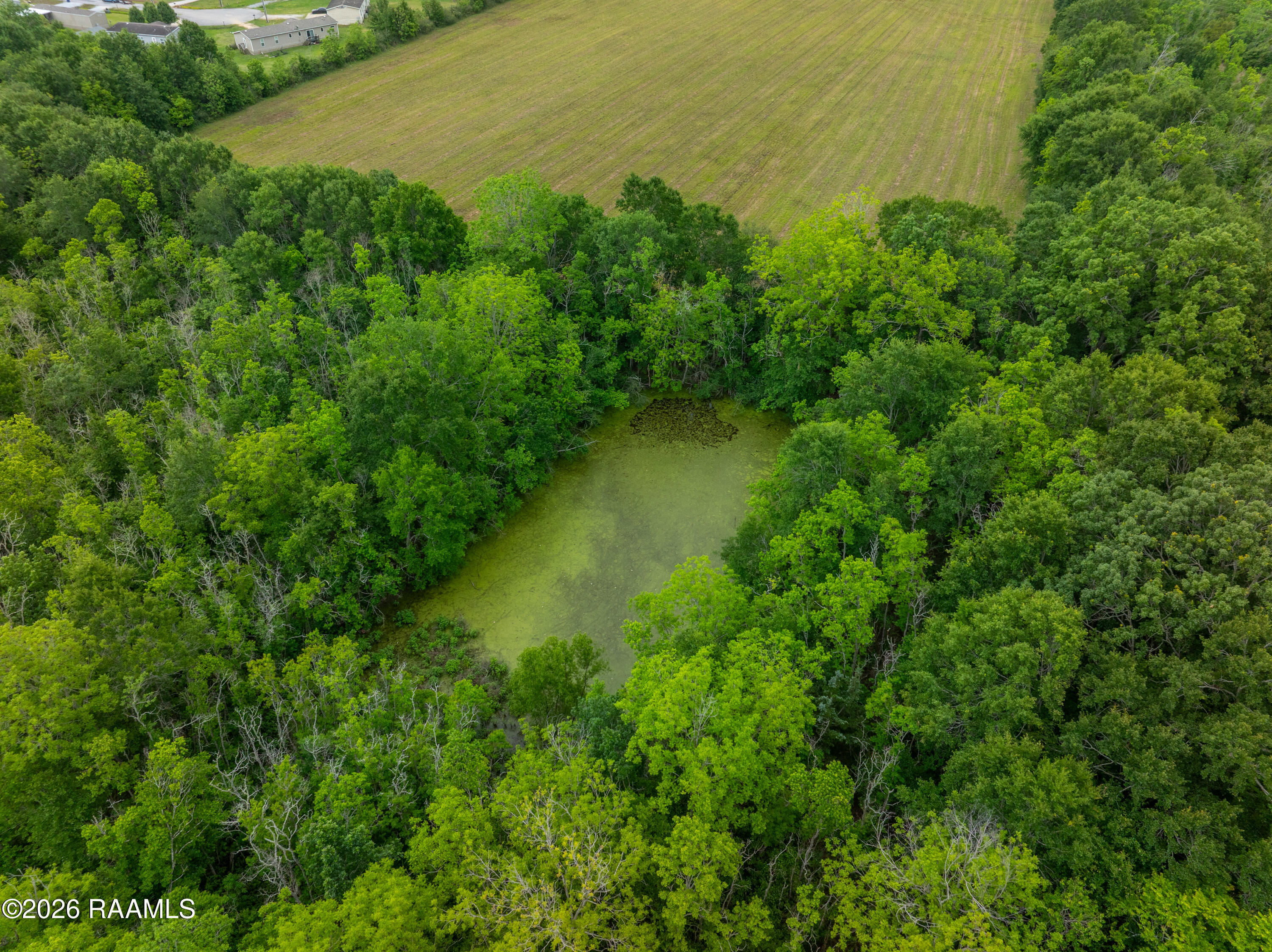 9000 West Gloria Switch Road Scott, LA 70583 - Photo 5 of 11