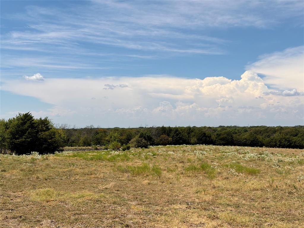 Tbd Lone Tree Road Nevada, TX 75173 - Photo 5 of 11 Gallery Image 5
