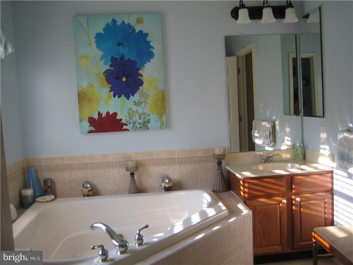 20 Warwick Road West Windsor, NJ 08550 - Photo 10 of 14 Master Bathroom