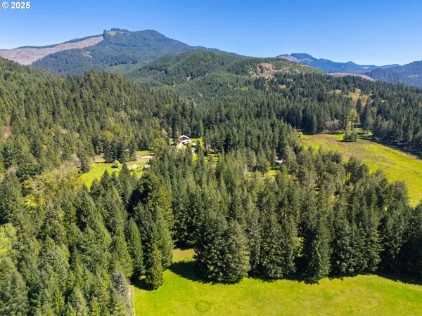 a view of a lush green hillside and a houses