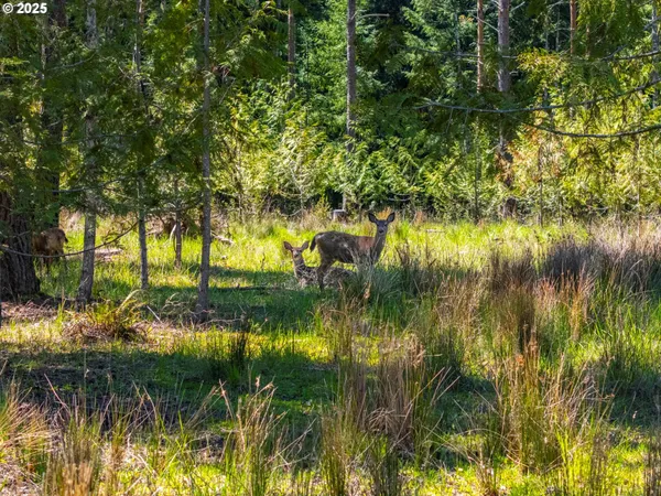 a view of a yard and a mountain