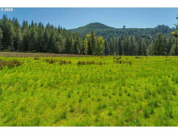 a view of a lush green hillside and a building