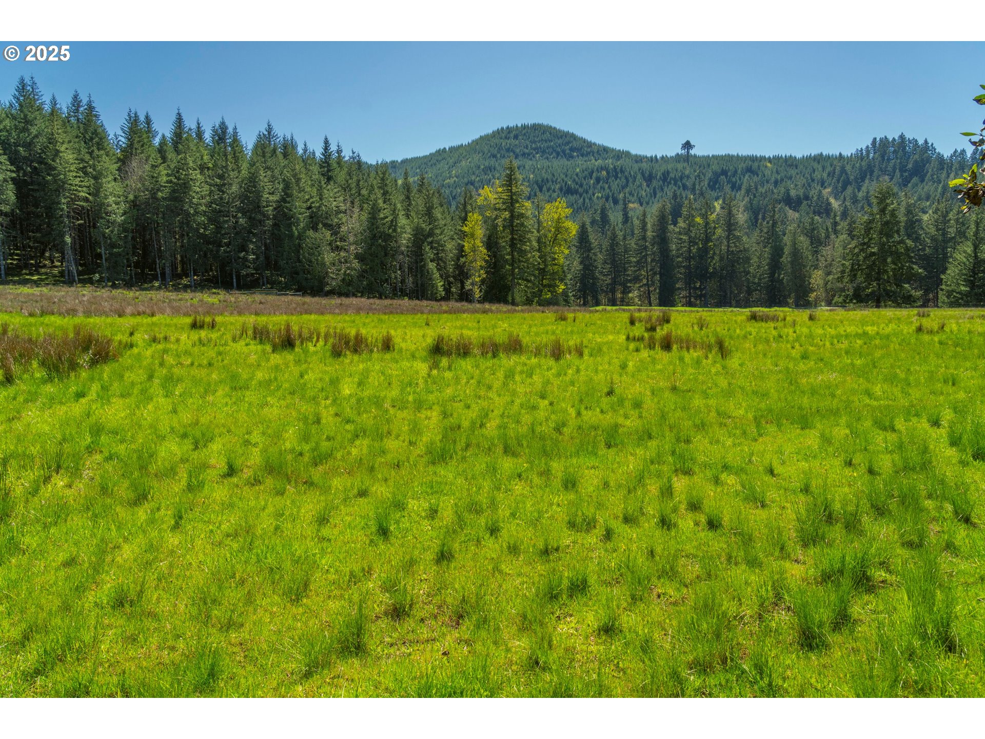75325 Mosby Creek Road Cottage Grove, OR 97424 - Photo 37 of 48
