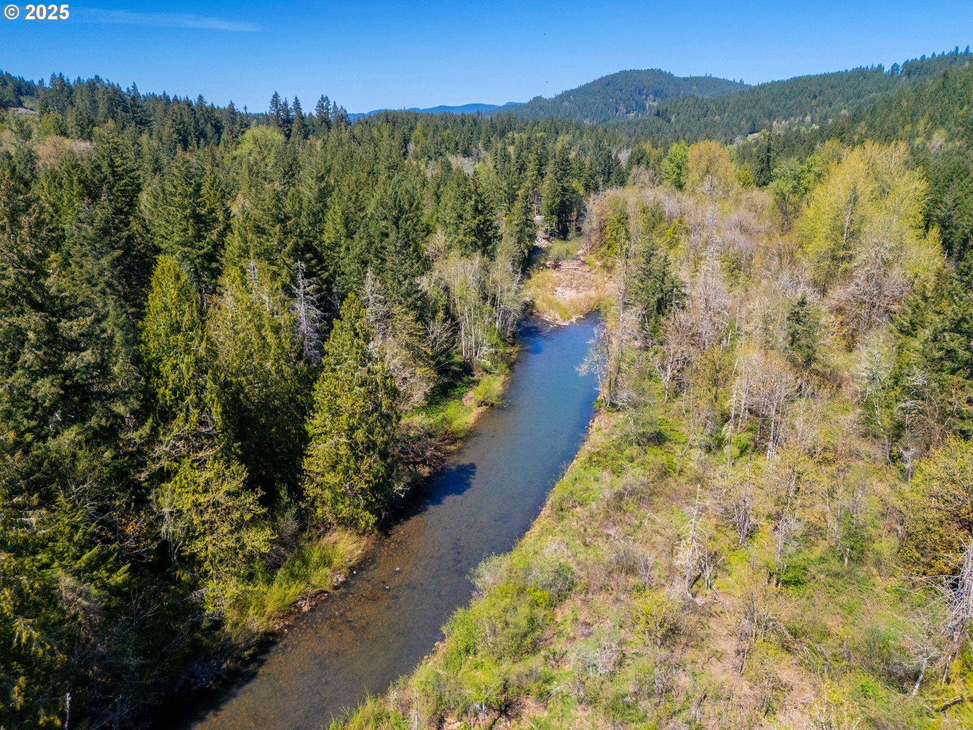 75325 Mosby Creek Road Cottage Grove, OR 97424 - Photo 39 of 48